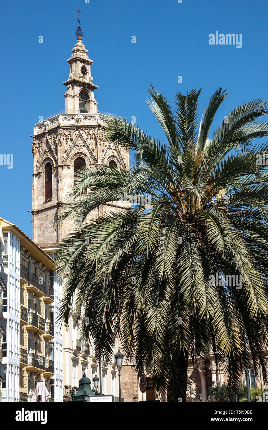 Cattedrale di Valencia Spagna Plaza de la Reina Square, Micalet Campanile Palm tree Valencia Spagna Città Vecchia architettura monumento XIV secolo, Palm tree Foto Stock