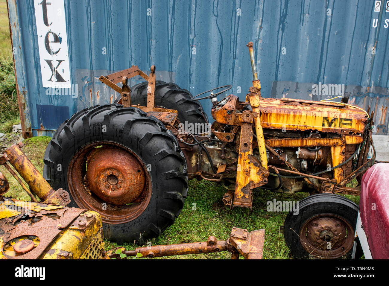 Massey Ferguson industriale, Isola di Skye. Foto Stock