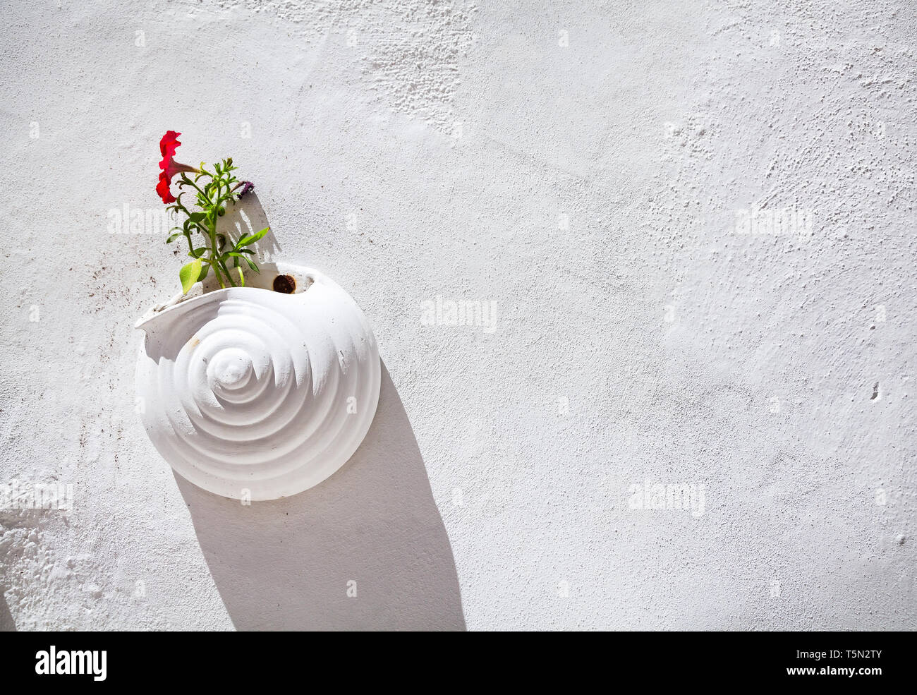 Vaso di fiori sul muro di una strada stretta a bodrum, Turchia Foto Stock