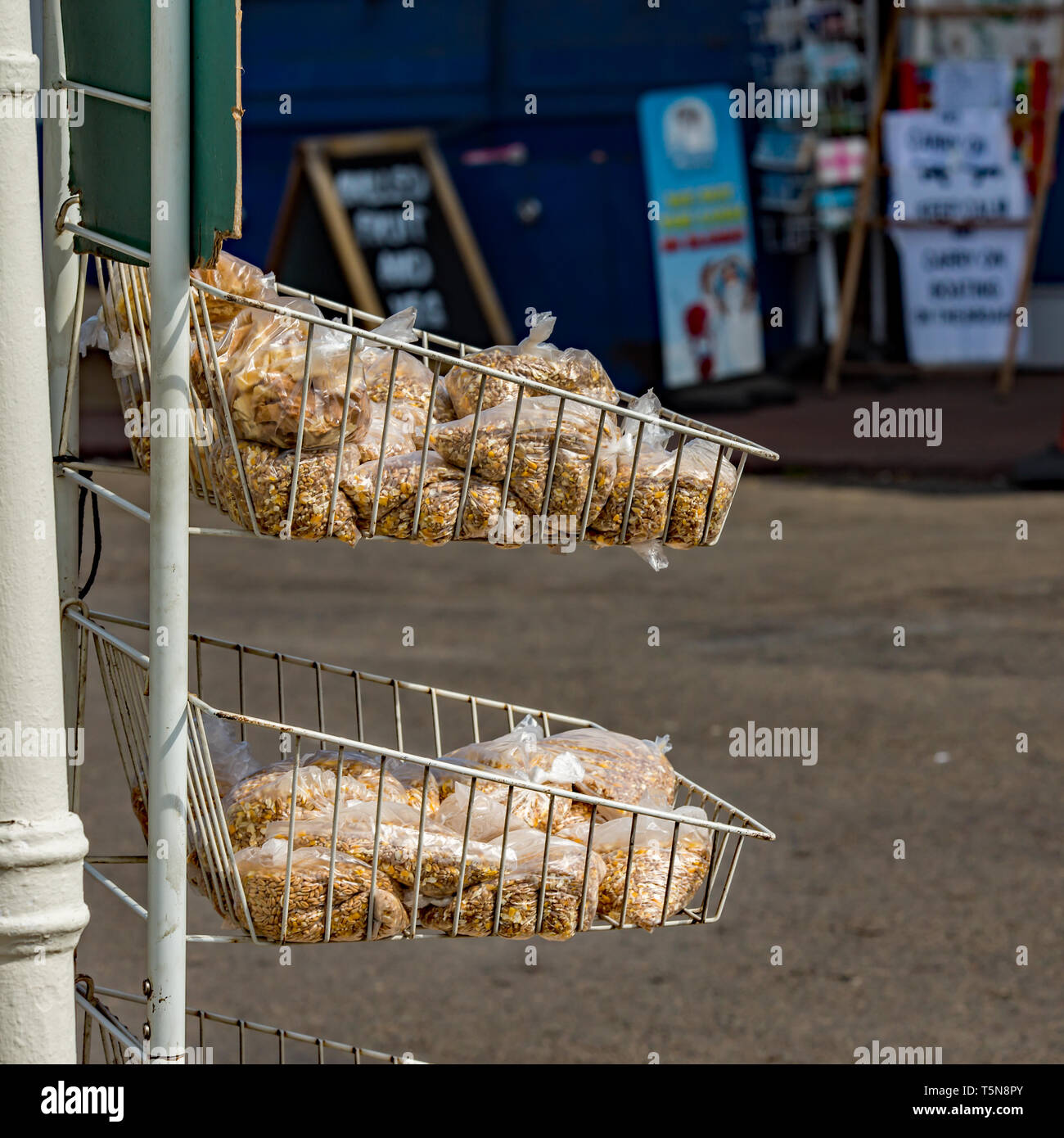 Trasparente di sacchetti di plastica contenenti alimenti per uccelli sulla scaffalatura di colore bianco al di fuori di un negozio nel villaggio di Horning, Norfolk. L'uccello cibo è venduto ai turisti, h Foto Stock
