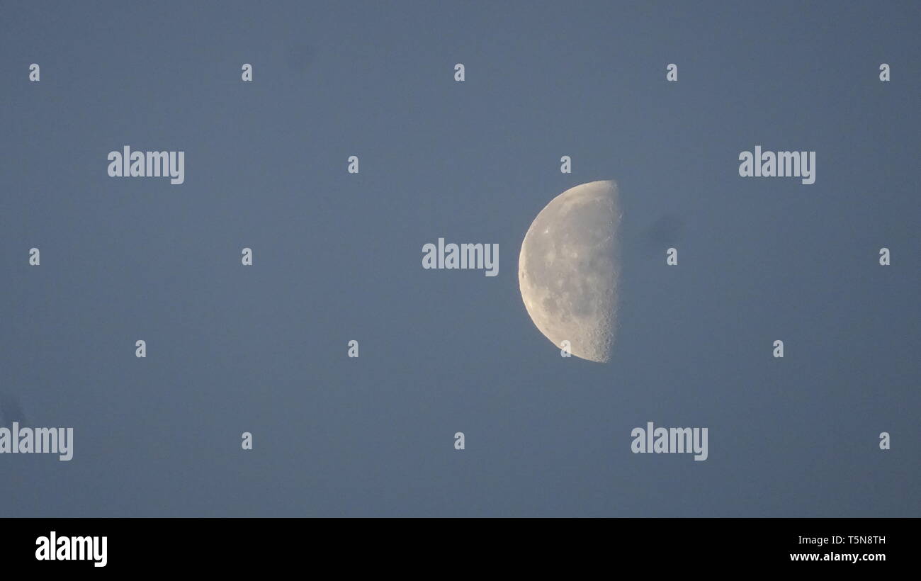 La luna come presi da terra. prese la mattina presto a Bristol REGNO UNITO Foto Stock