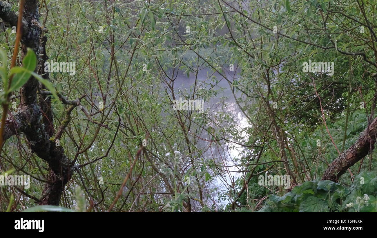 La nebbia sul fiume Avon a Bristol REGNO UNITO Foto Stock
