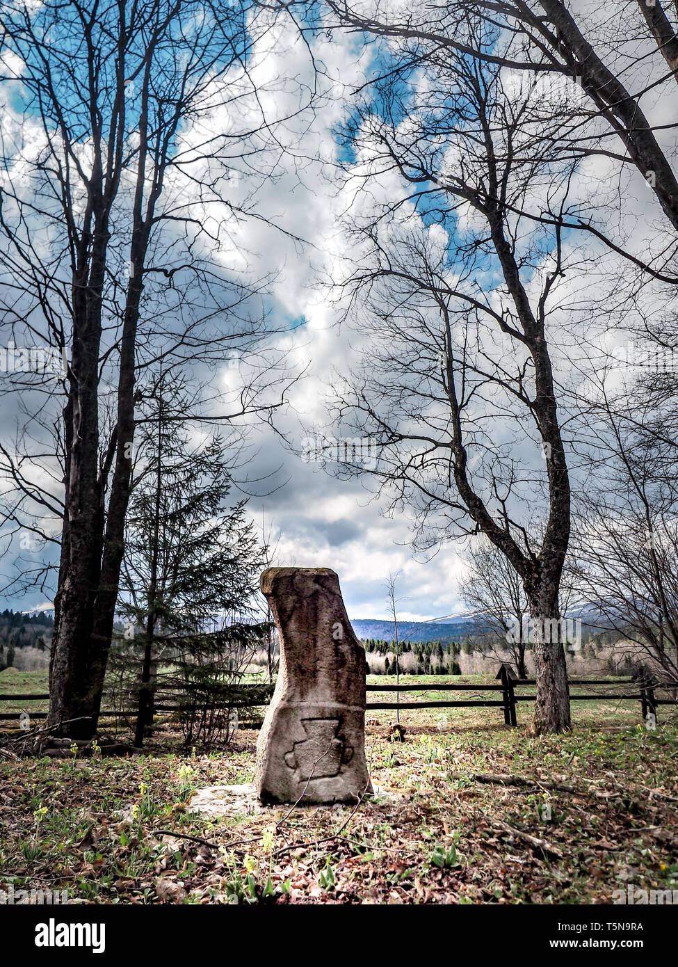 Grave contrassegnati con la pentola Beniowa Bieszczady Parco Nazionale della Polonia in Europa. Vecchio Cimitero. Resta di fatto inesistenti ex villaggio vicino all'Ucraina Foto Stock