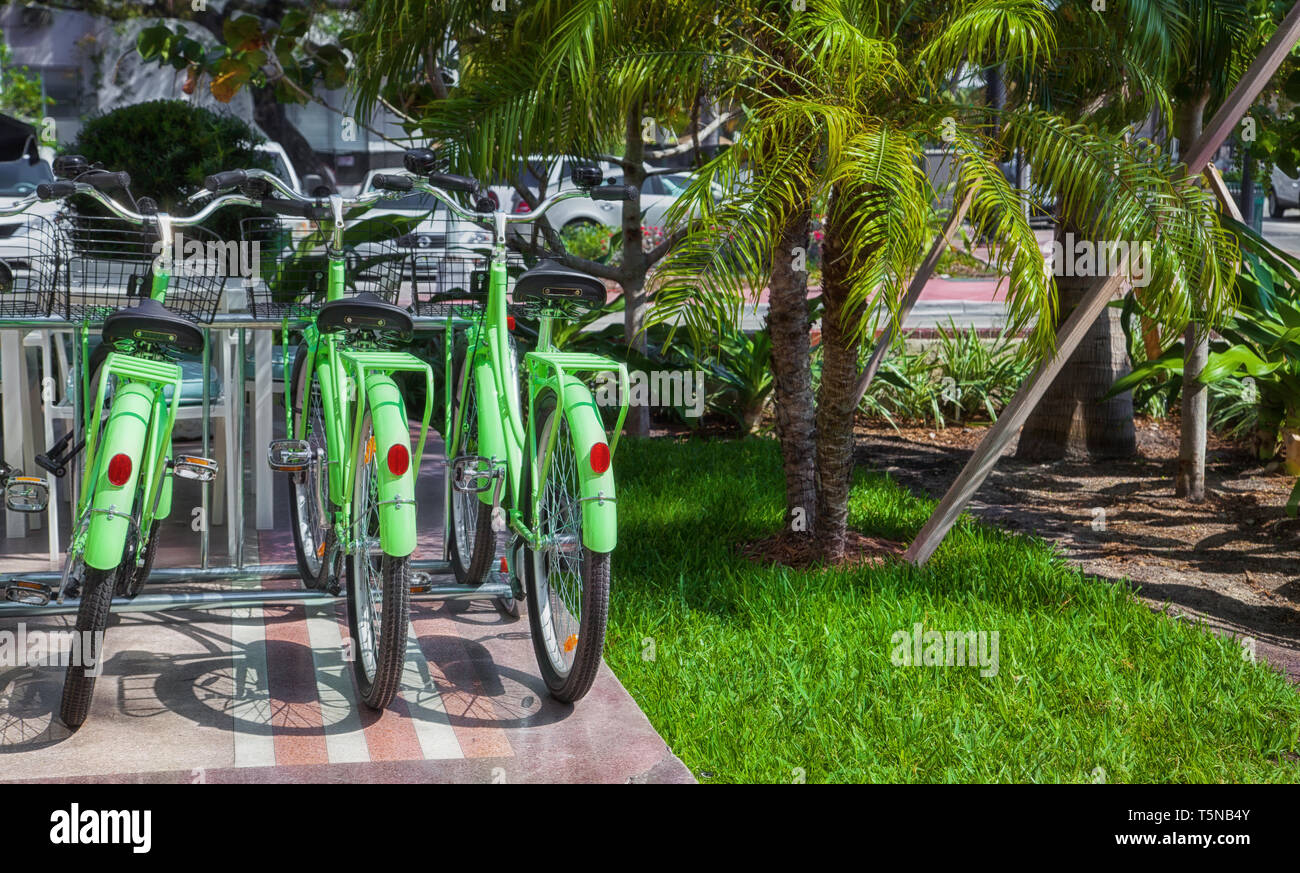 Noleggio Biciclette in Miami - Tre biciclette verde Foto Stock