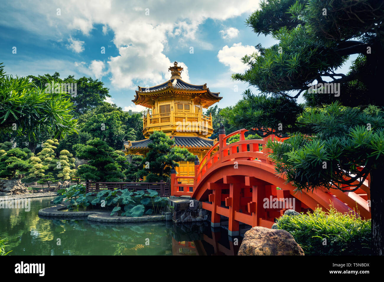 Vista frontale del tempio d'oro Padiglione con ponte rosso di Giardino Nan Lian, Hong Kong. Asia. Foto Stock
