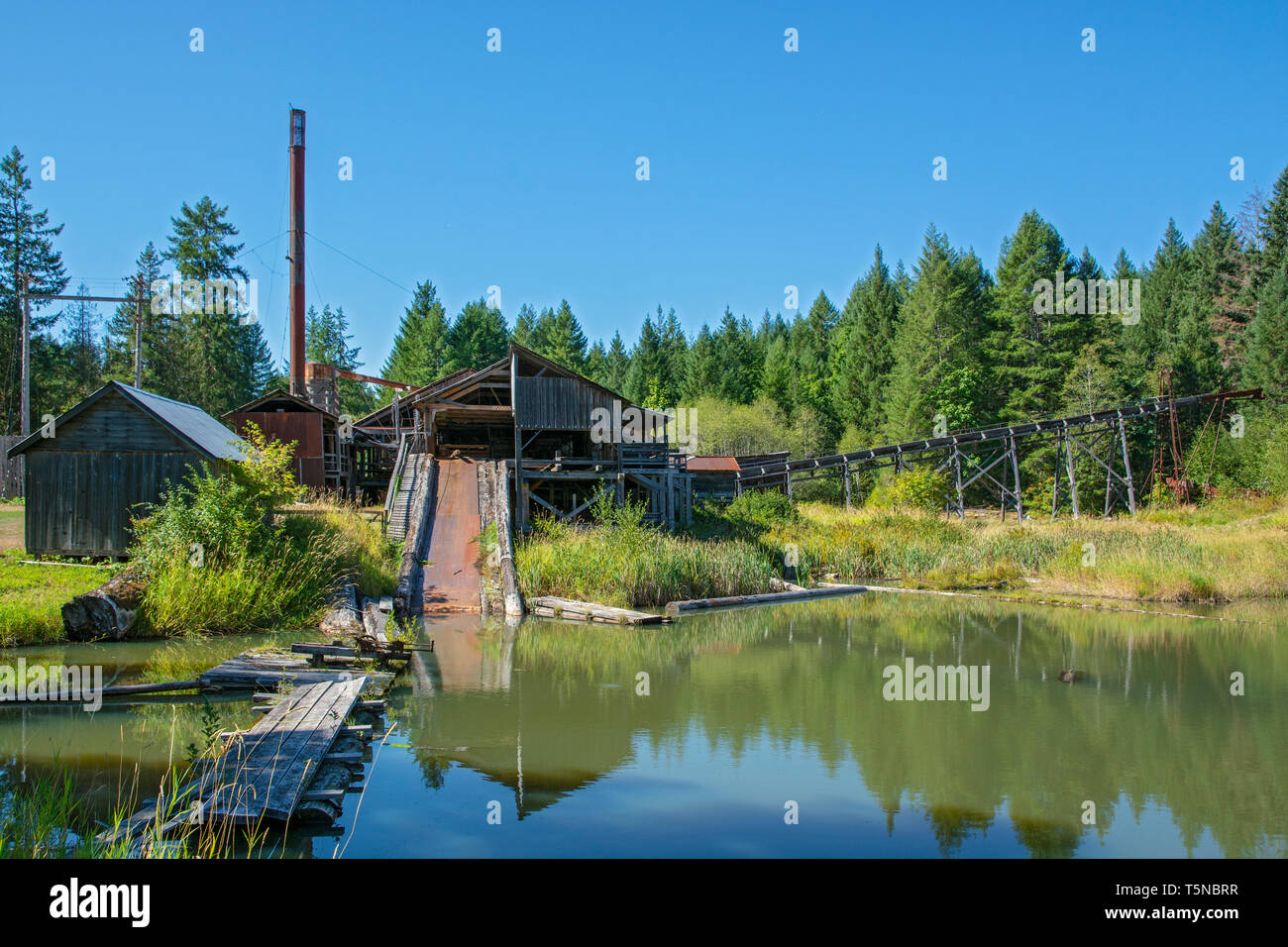 Canada, British Columbia, Port Alberni, McLean Mill National Historic Site, vapore-azionato segheria, stagno di registro Foto Stock