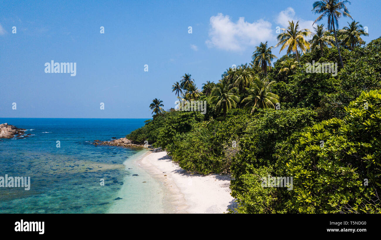 Deserta spiaggia tropicale in estate. Tropical isola di sabbia in Malesia con palme e acqua cristallina Foto Stock