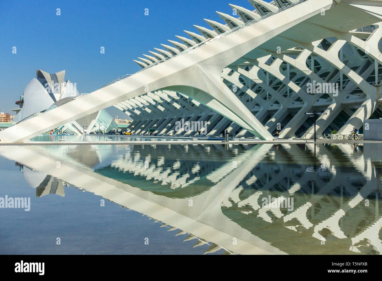 Architettura moderna e contemporanea spagnola struttura futuristica di Calatrava Valencia città delle arti e delle scienze Valencia Spagna Museo della scienza della città Foto Stock