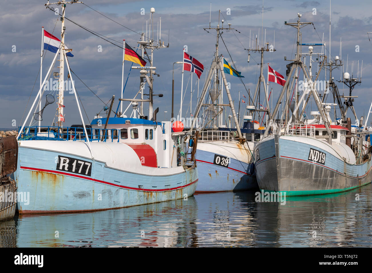 Danese tradizionale delle navi da pesca in Gilleleje porto; Danimarca Foto Stock