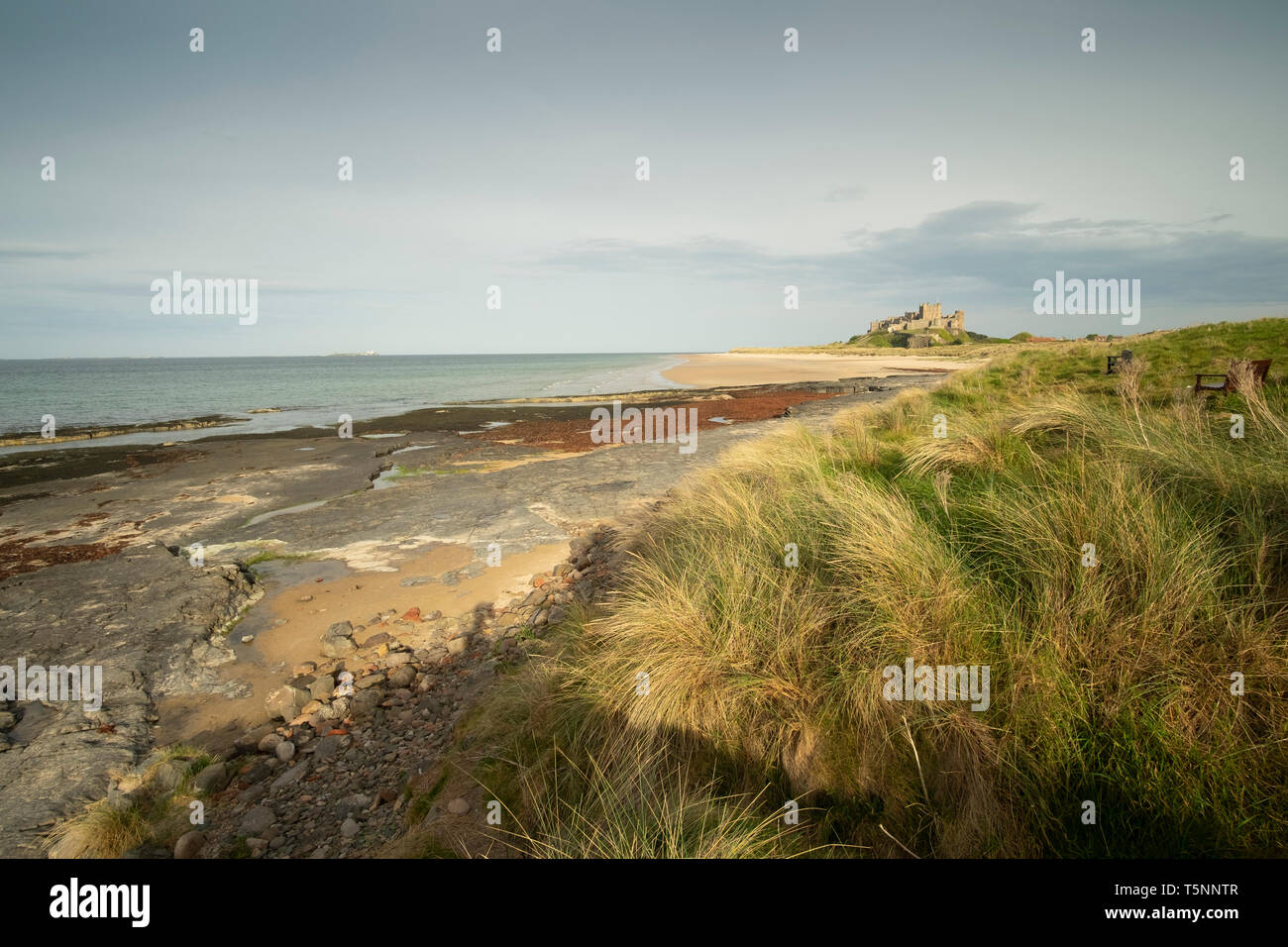 Il castello di Bamburgh e spiaggia, Northumberland, Inghilterra Foto Stock