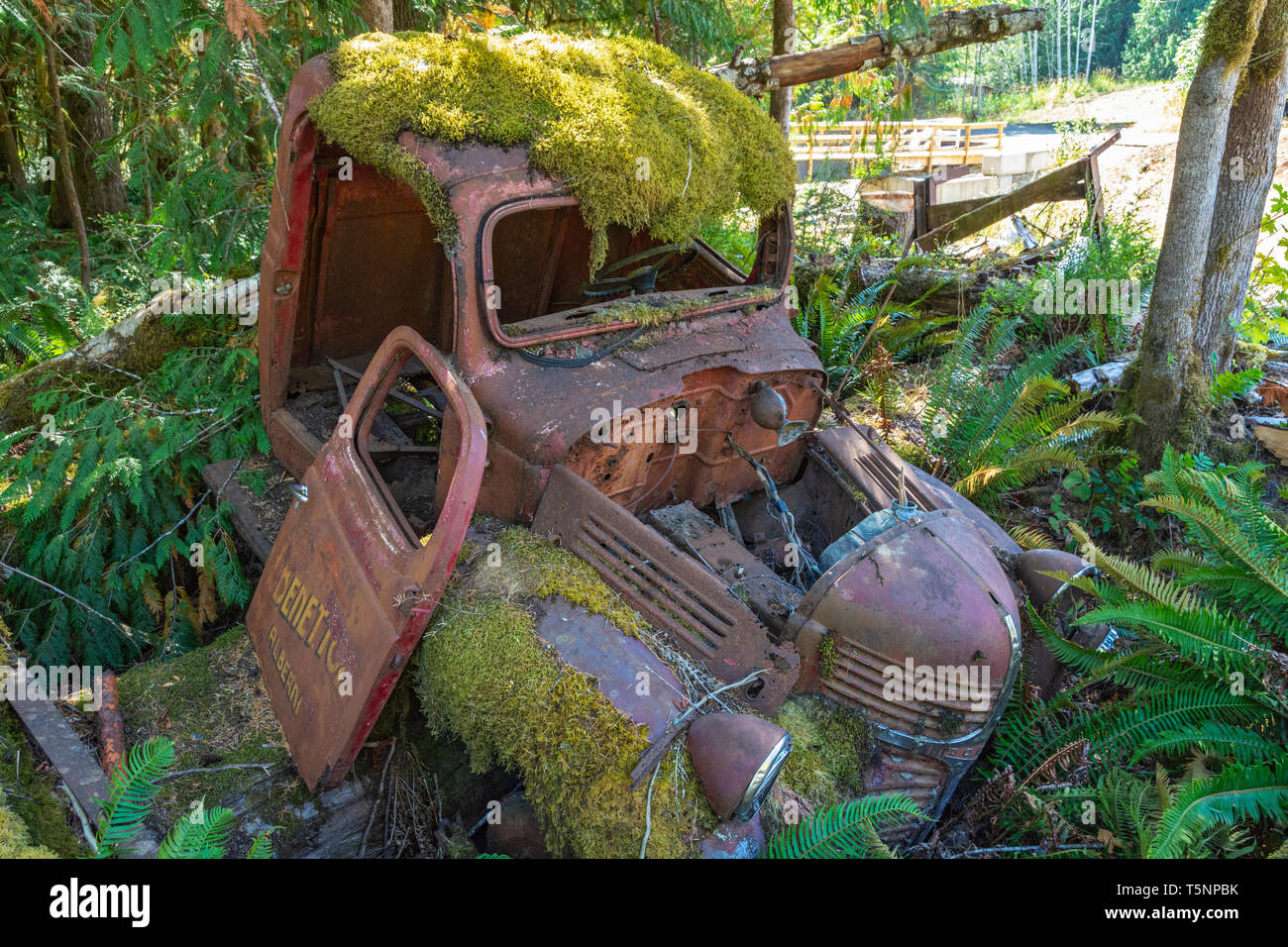 Canada, British Columbia, Port Alberni, McLean Mill National Historic Site, i carrelli abbandonati Foto Stock