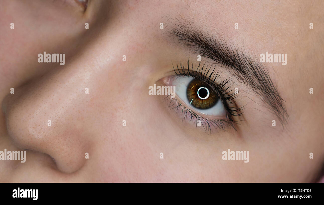 Extension delle ciglia procedura. Gli occhi di femmina con lunghe ciglia finte dopo la procedura di personalizzazione nella spa salone. Foto Stock