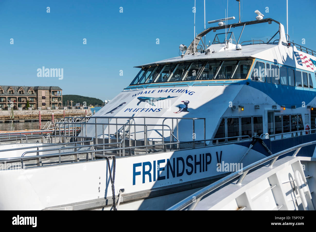 Bar Harbor, Maine, Stati Uniti d'America - 28 Luglio 2017: l'Amicizia V catamarano, del Bar Harbor Whale Watch Company è pronto ad imbarcare passeggeri per una balena wat Foto Stock