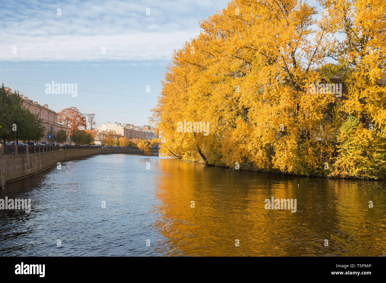 Autunno cityscape San Pietroburgo. Vecchia pioppi con foglie di giallo piegare oltre l'acqua del fiume Moika Foto Stock