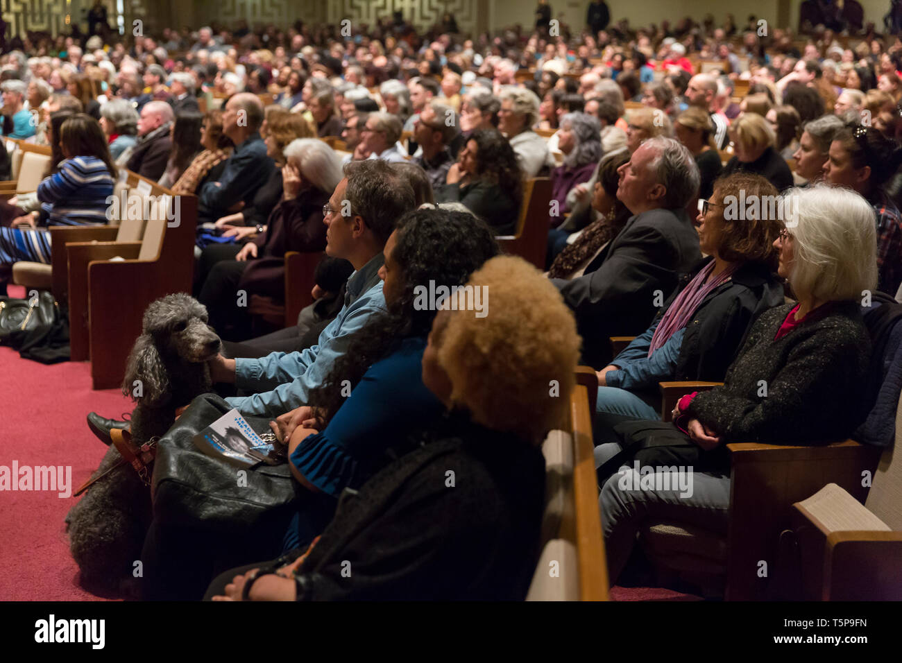 Seattle, Washington: centinaia di sostenitori radunati per vedere Stacey Abrams al Temple de Hirsch Sinai. L'ex-Georgia gubernatorial candidate è su Foto Stock