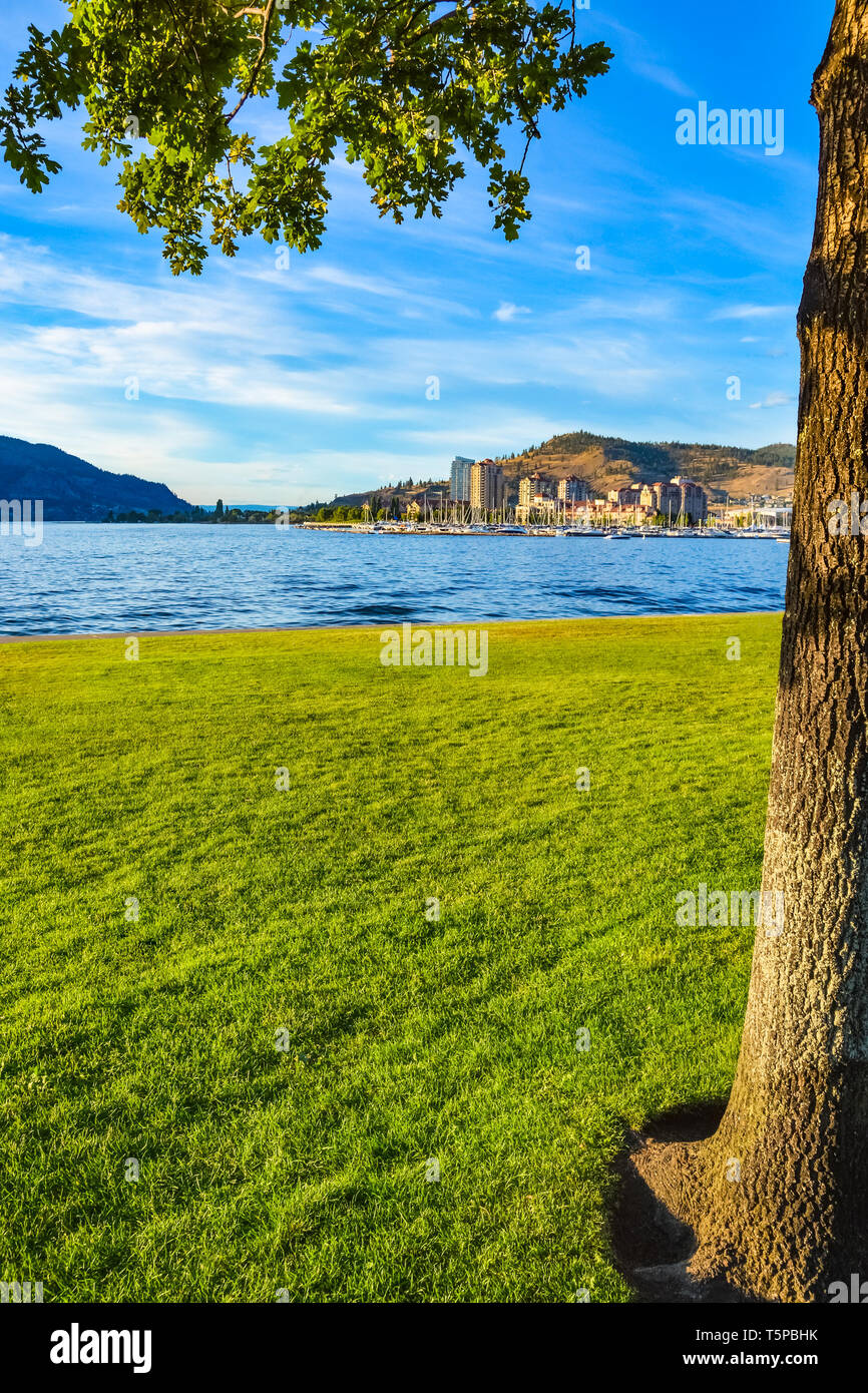 Vista serale sulla parte centrale di Kelowna oltre il lago Okanagan. Foto Stock