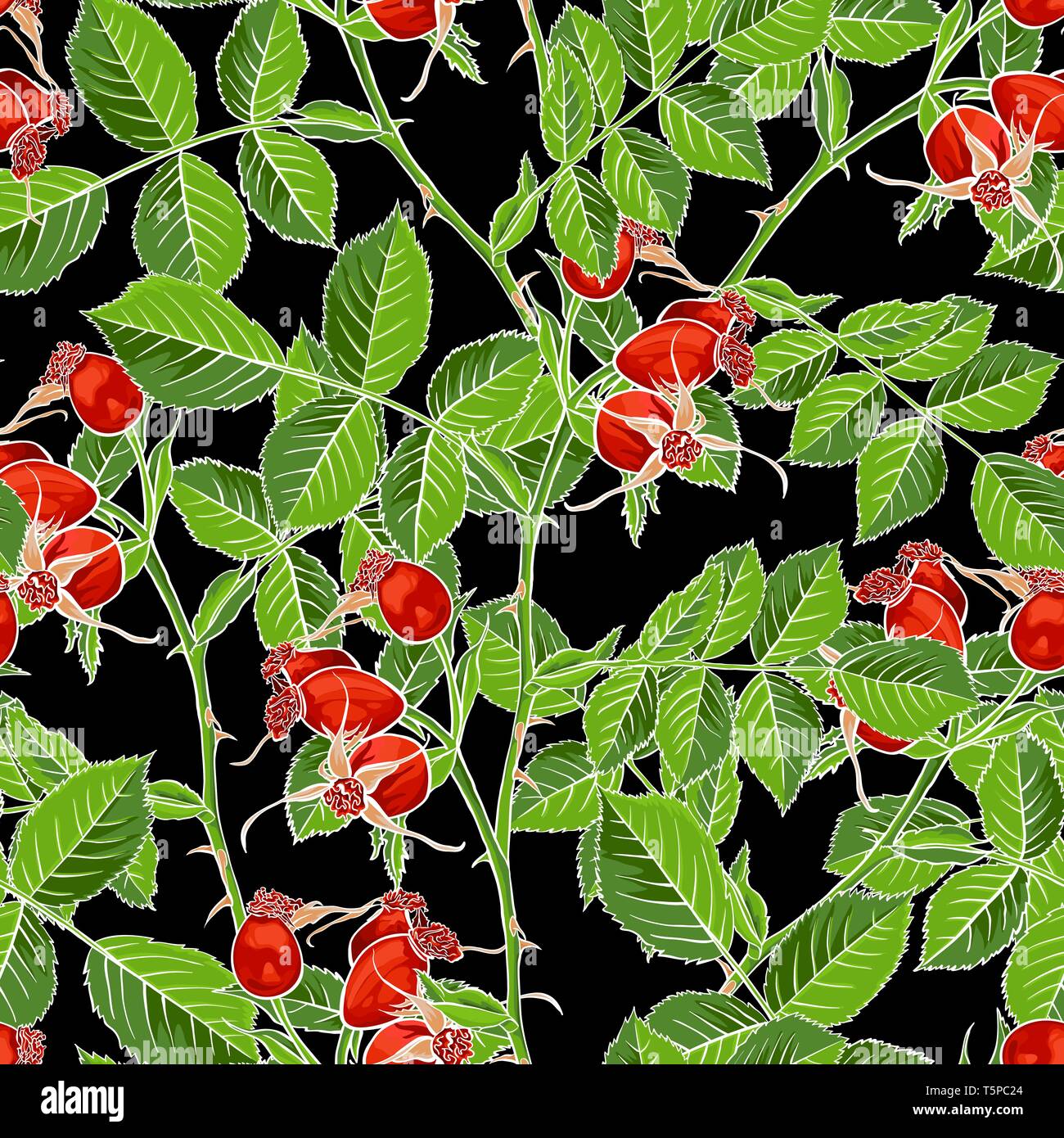 Rosa canina Seamless Pattern, Lusso Wild Rose in radica. Il romanticismo di rosa canina tessuto Design Tessile con sfondo nero per avvolgere carta, batteriosi vascolare Rose borsa regalo di rovo e imballaggio Illustrazione Vettoriale