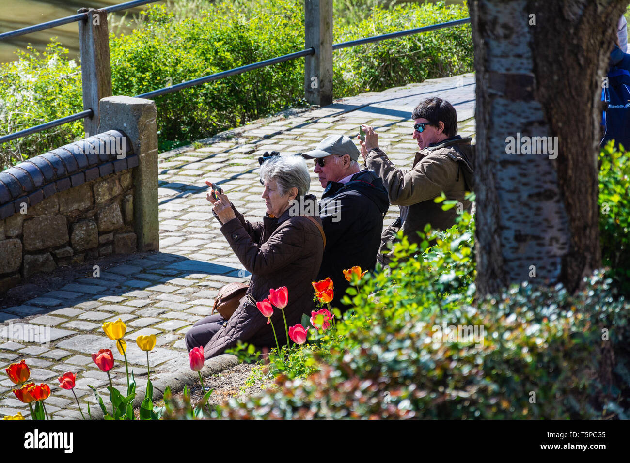 Tre turisti seduti su una panchina (vicino al fiume Severn) scattano foto di un simbolo di Ironbridge, Telford, Regno Unito. Foto Stock