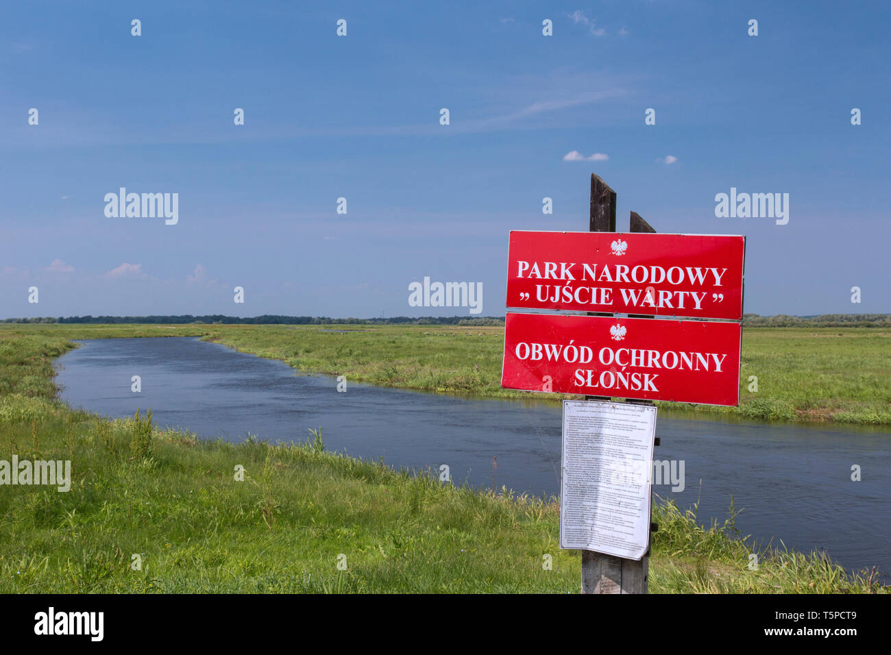 Segno del Ujście presenta verrucosa Parco Nazionale / Warta River-Mouth National Park, Lubusz voivodato, Polonia Foto Stock