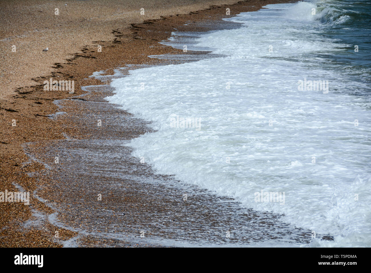 Shingle su una spiaggia in Hampshire, Inghilterra, Regno Unito Foto Stock