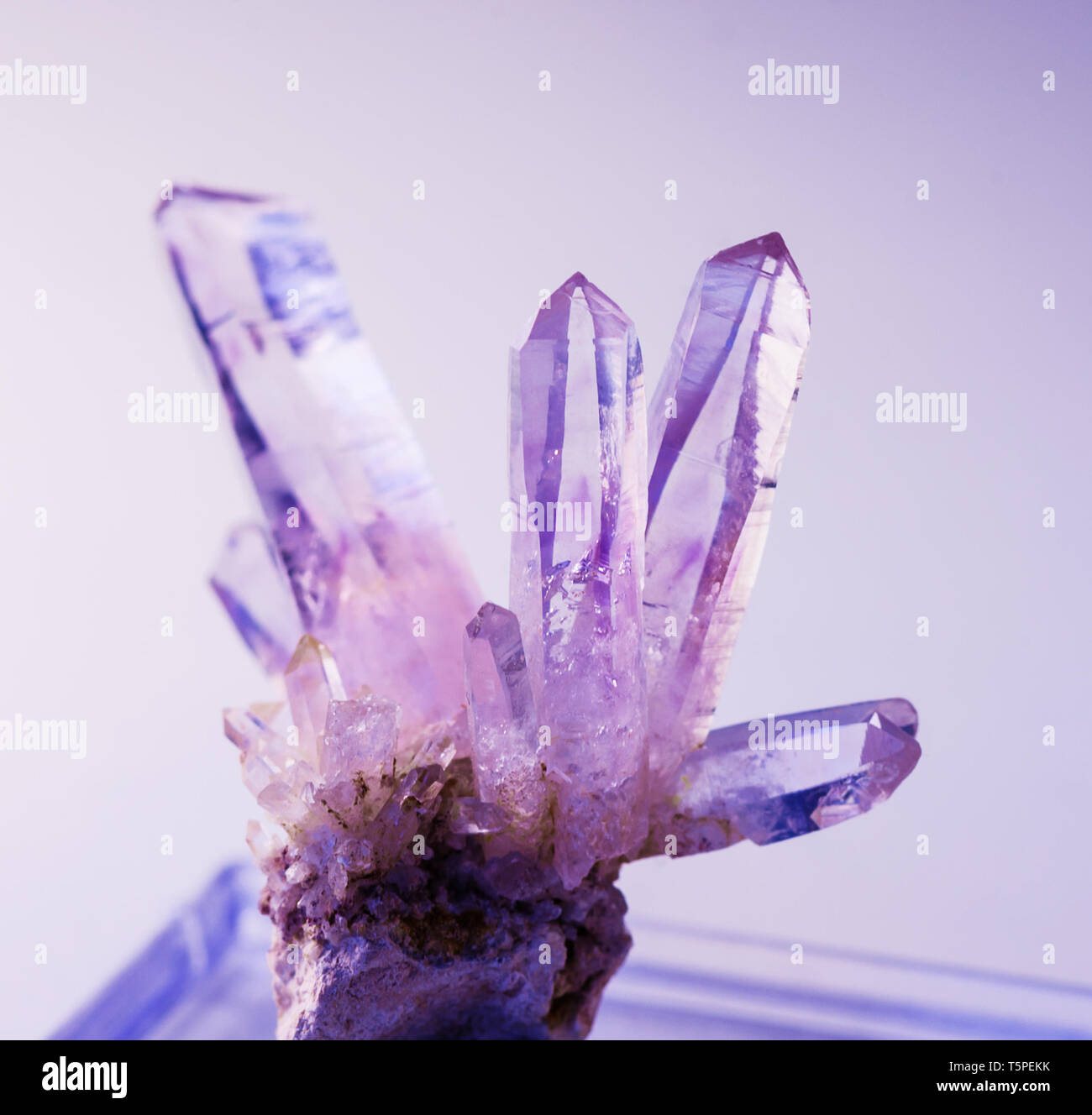 I Drusi di diversi cristalli viola di pietra naturale ametista da Vera Cruz  miniera su sfondo viola Foto stock - Alamy
