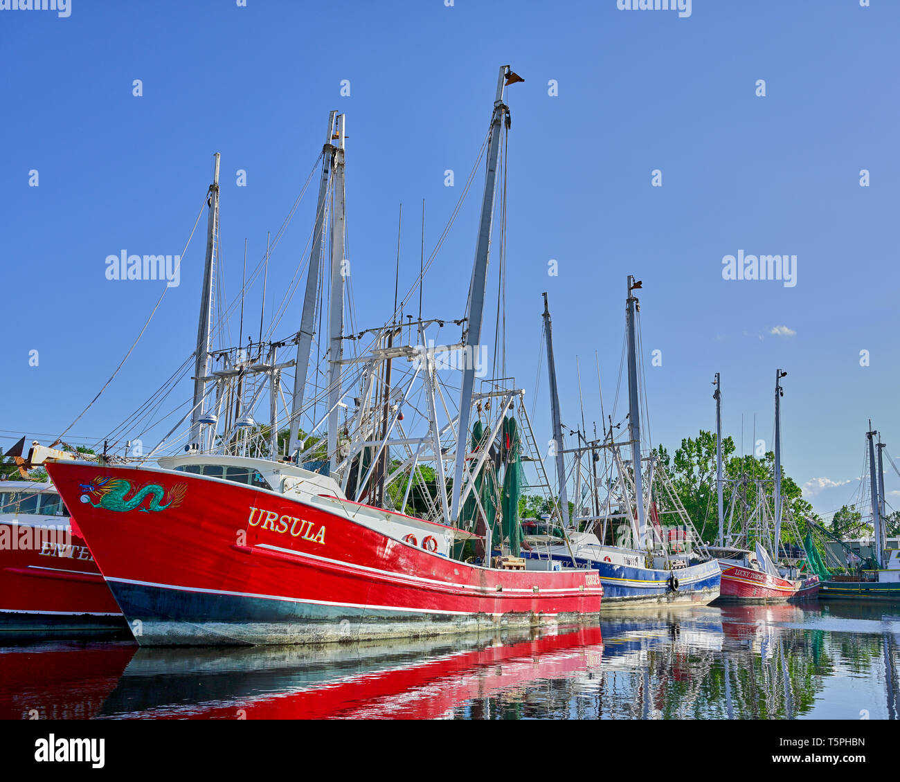 La pesca commerciale di imbarcazioni e natanti adibiti alla pesca di gamberetti legato, parte della flotta di pesca, il Bayou La Batre Alabama, Stati Uniti d'America. Foto Stock