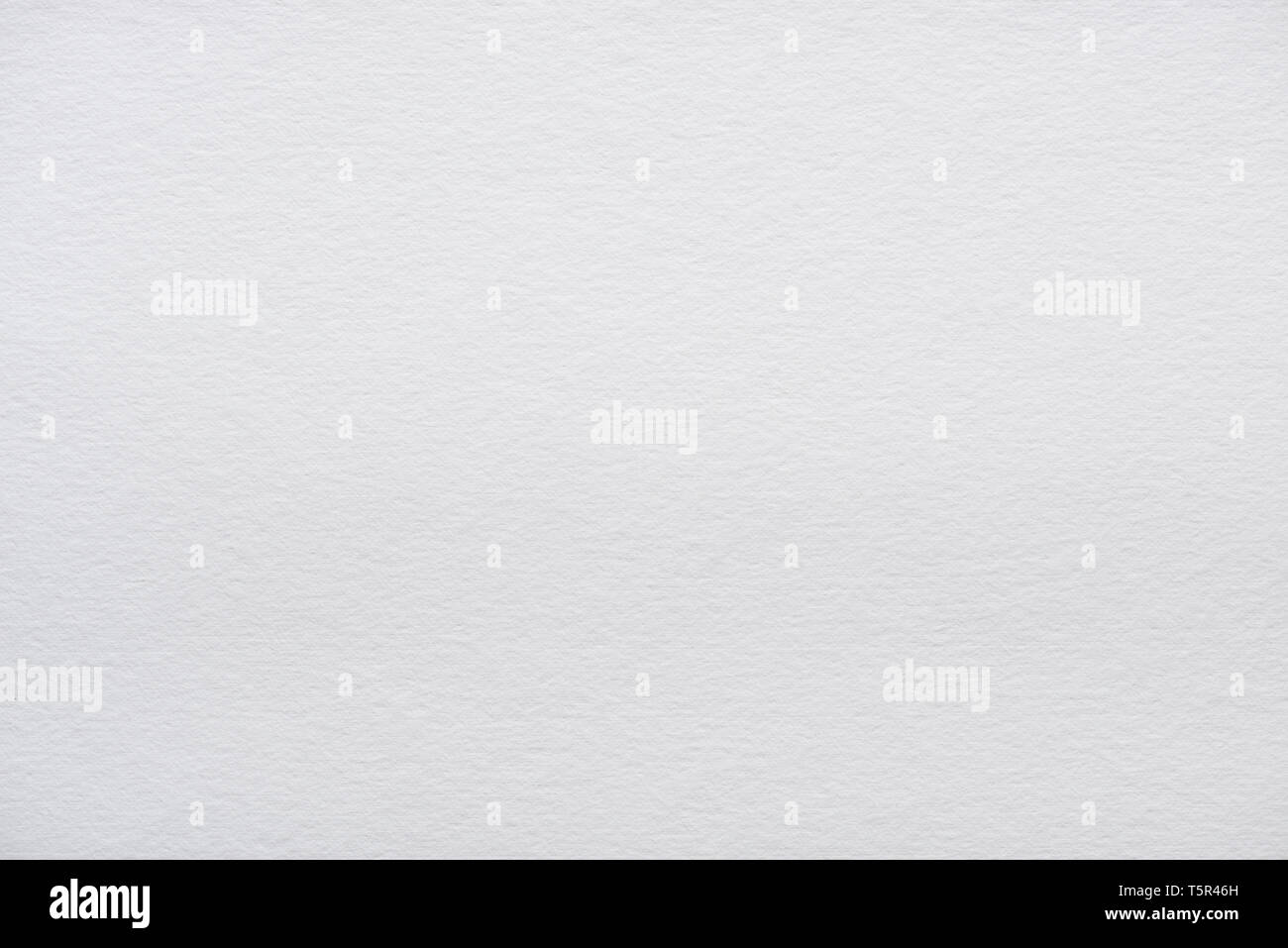 Pulire il vuoto di carta bianca nuova texture nitide e altamente dettagliata Foto Stock