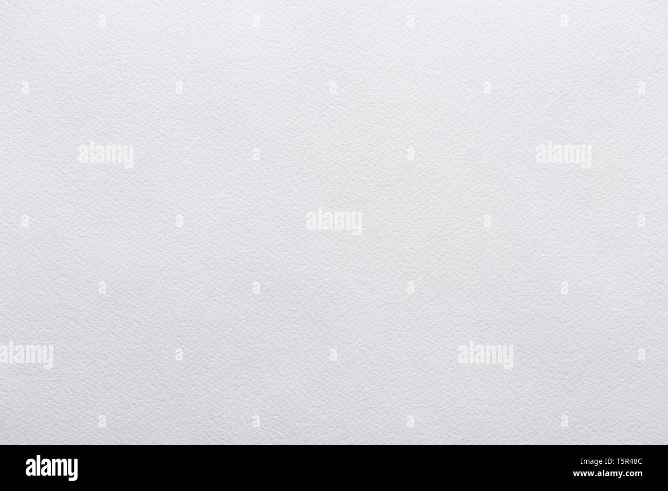 Pulire il vuoto di carta bianca nuova texture nitide e altamente dettagliata Foto Stock