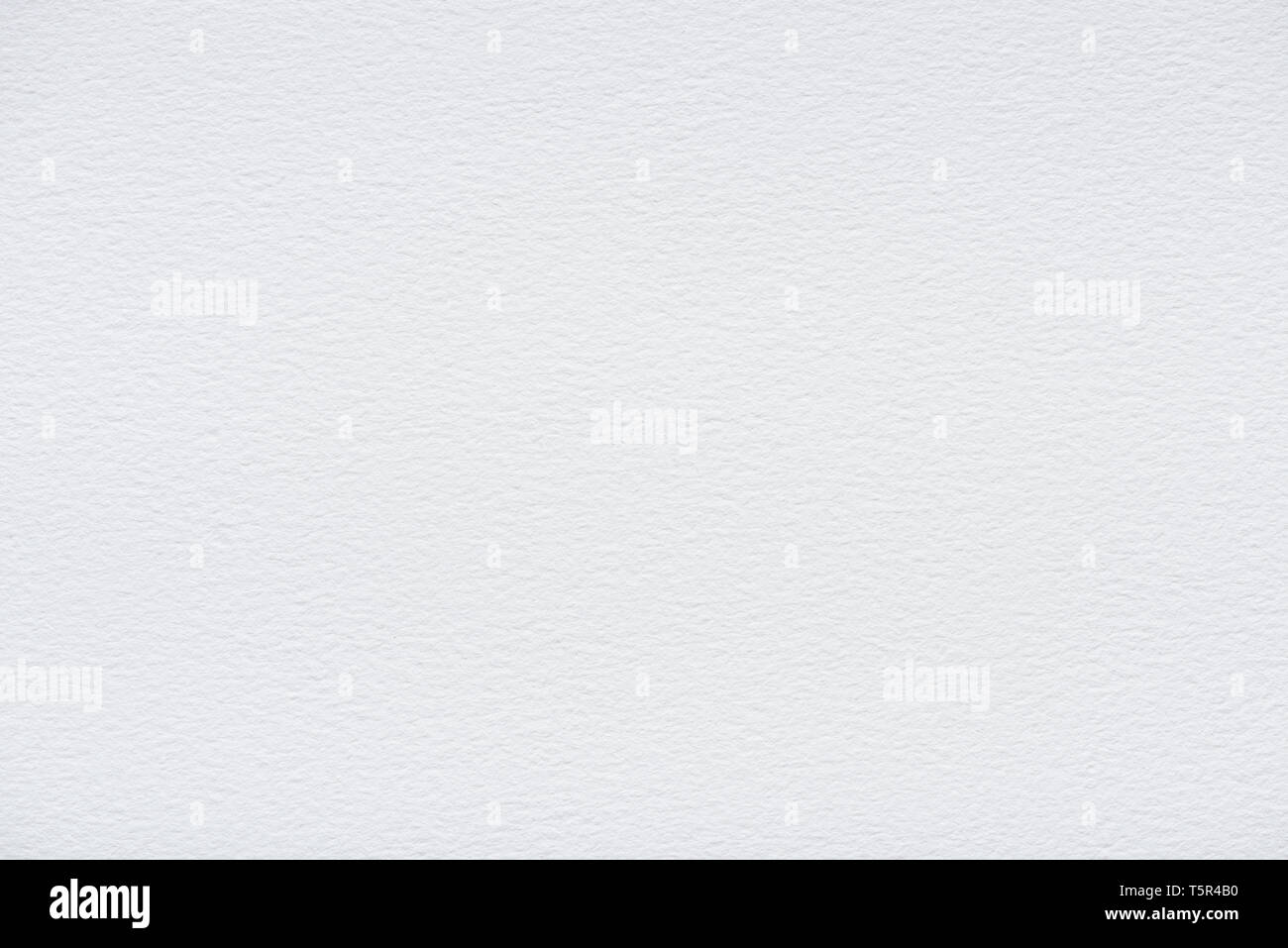 Pulire il vuoto di carta bianca nuova texture nitide e altamente dettagliata Foto Stock