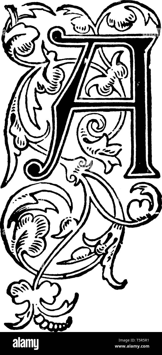 Una decorativa lettera A maiuscola con vitigni e foglie, vintage disegno della linea di incisione o illustrazione Illustrazione Vettoriale
