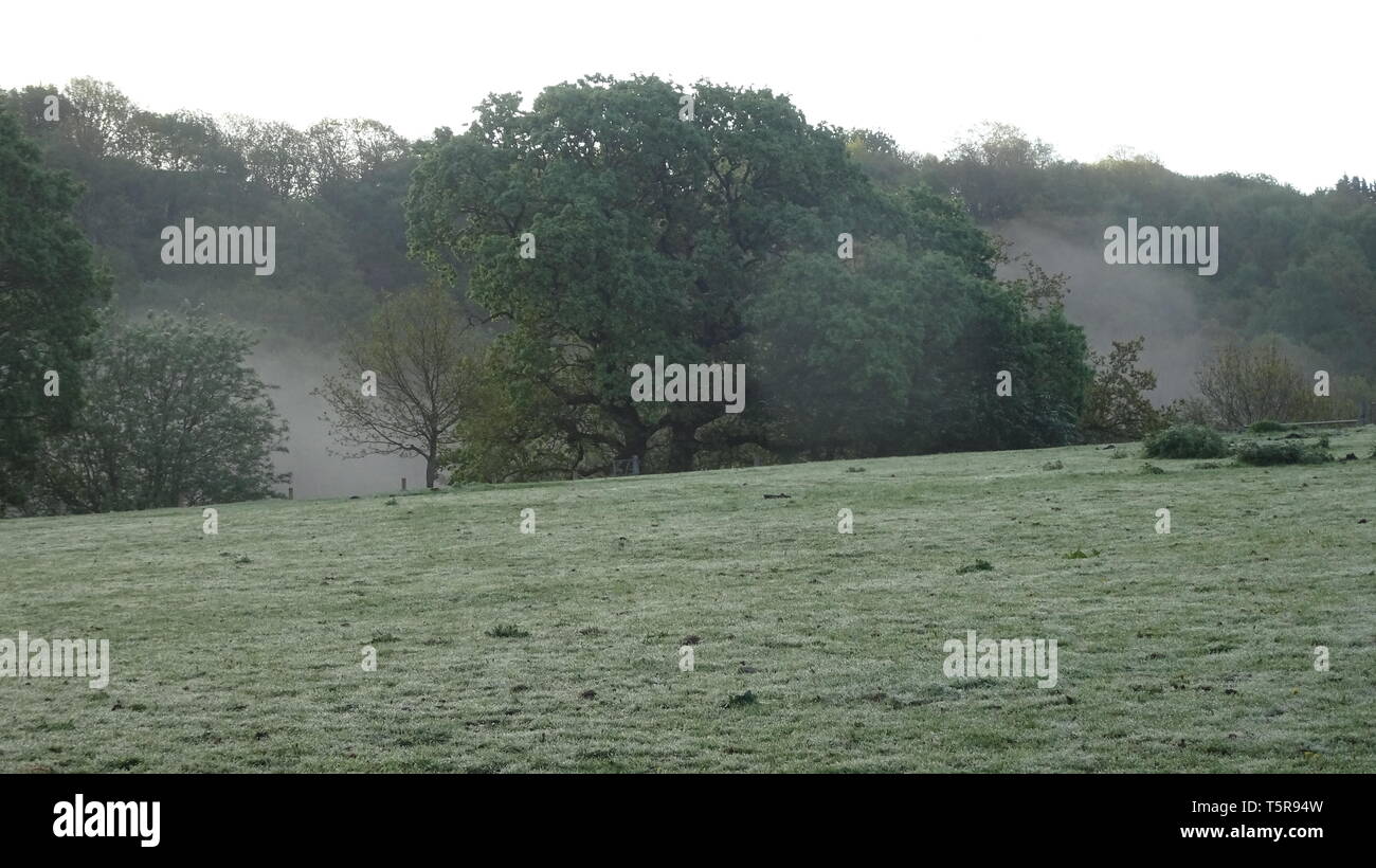 La nebbia sul fiume Avon a Bristol REGNO UNITO Foto Stock