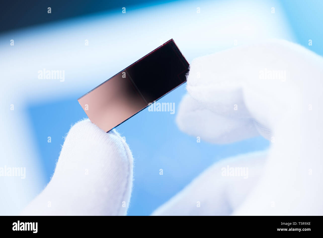 Scienziato mano in attesa di guanto piccolo pannello solare, il concetto di un nuovo tipo di cella solare la ricerca Foto Stock