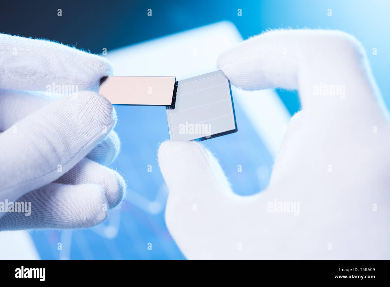 Scientiest tenere due piccoli pannelli solari, la ricerca di un nuovo tipo di cella solare concept Foto Stock