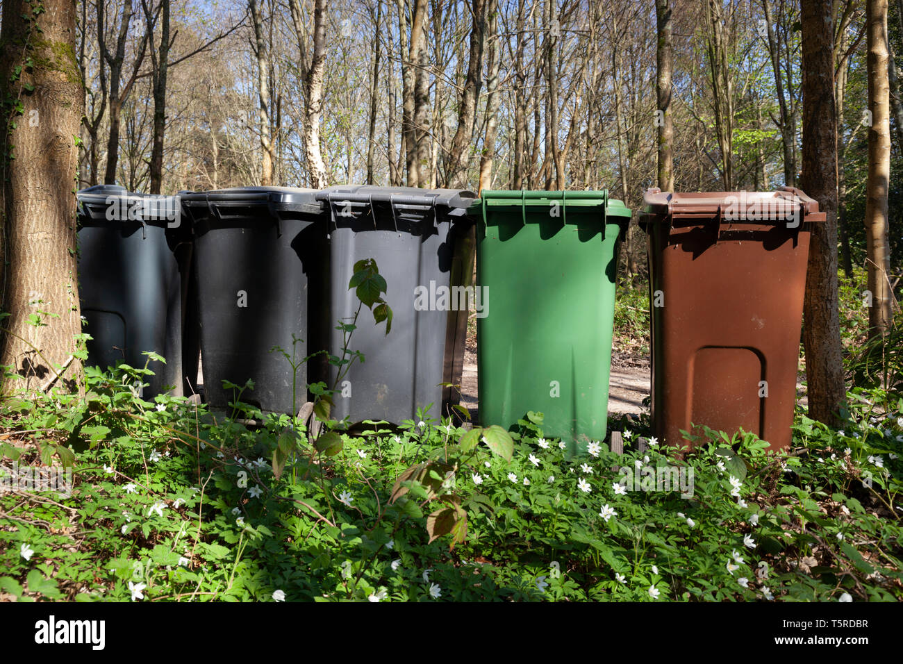 Rifiuti e cassonetti per il riciclaggio schierate sul viale di ingresso nel bosco naturale impostazione, Ashdown Forest vicino Danehill, vicino a Haywards Heath, Sussex, England, Regno Unito Foto Stock