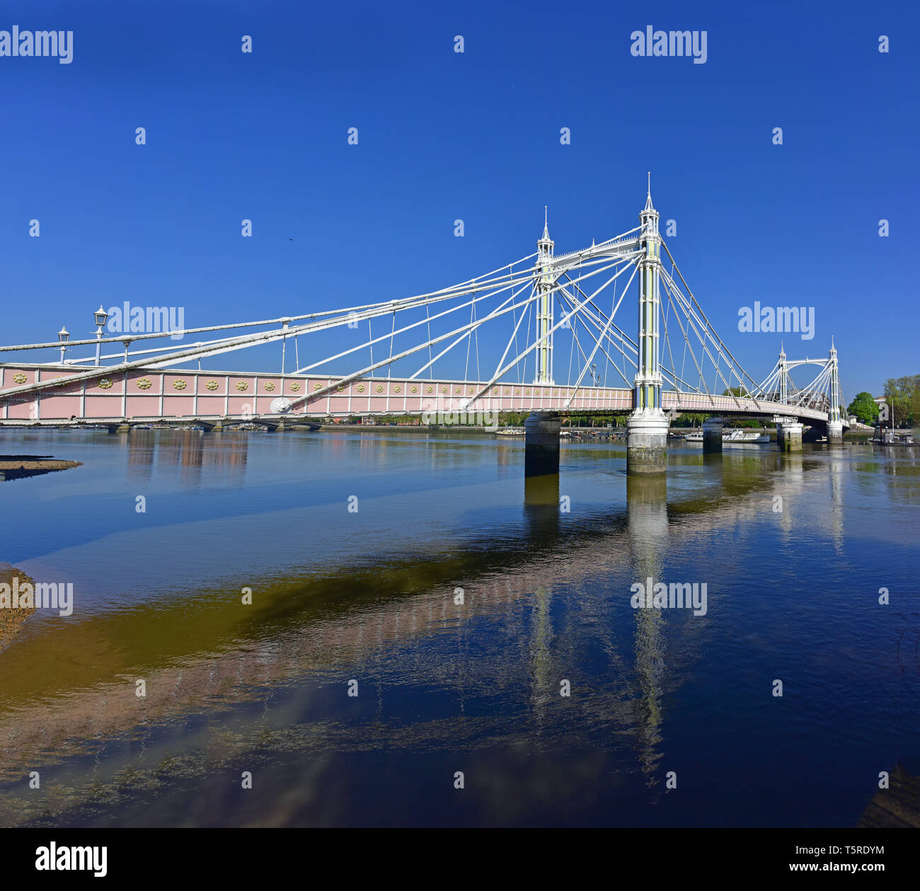 Albert Bridge da Battersea Park in primavera. Foto Stock