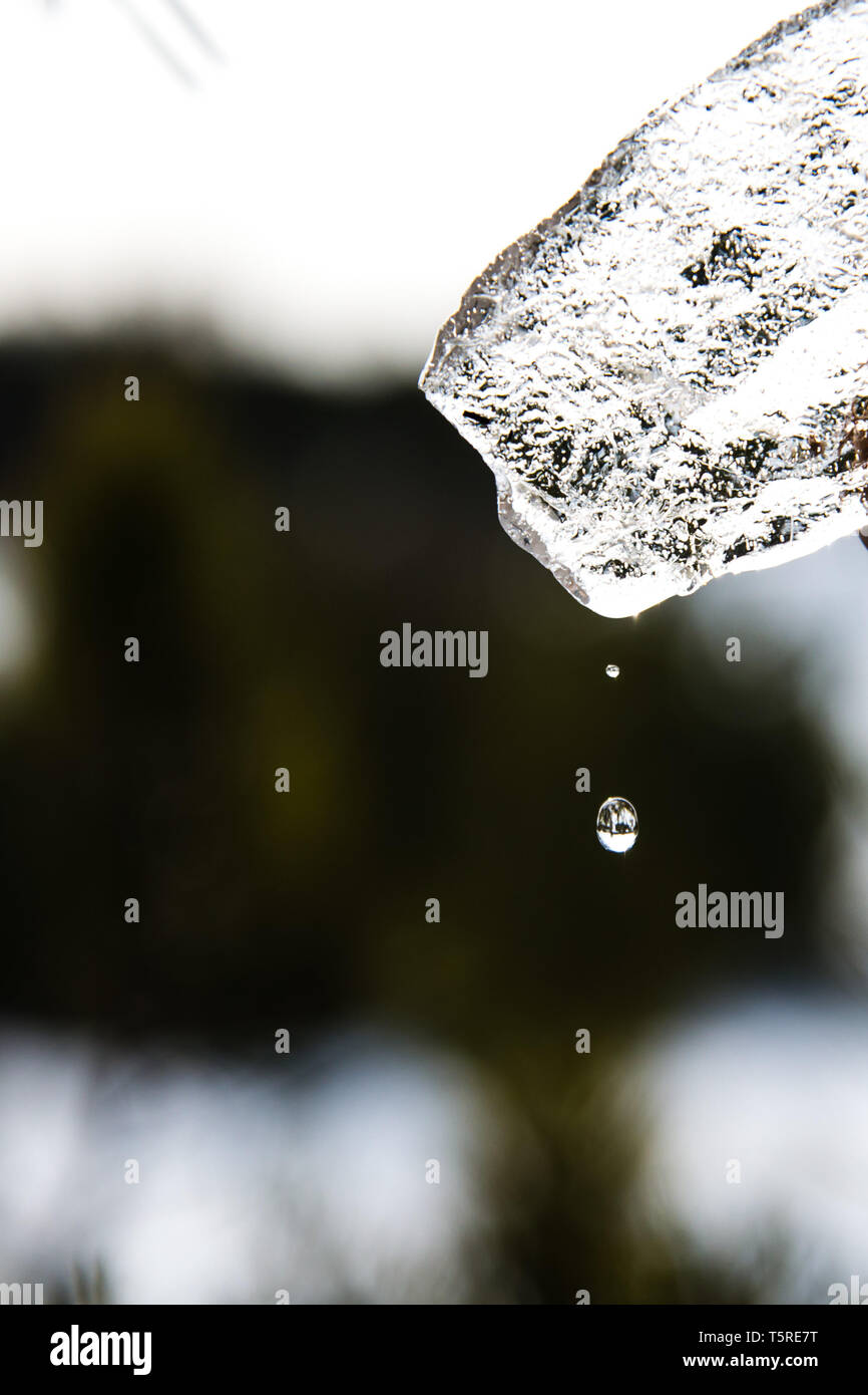 Grande pezzo di ghiaccio lucido in mano, il ghiaccio è la fusione in mano Foto Stock