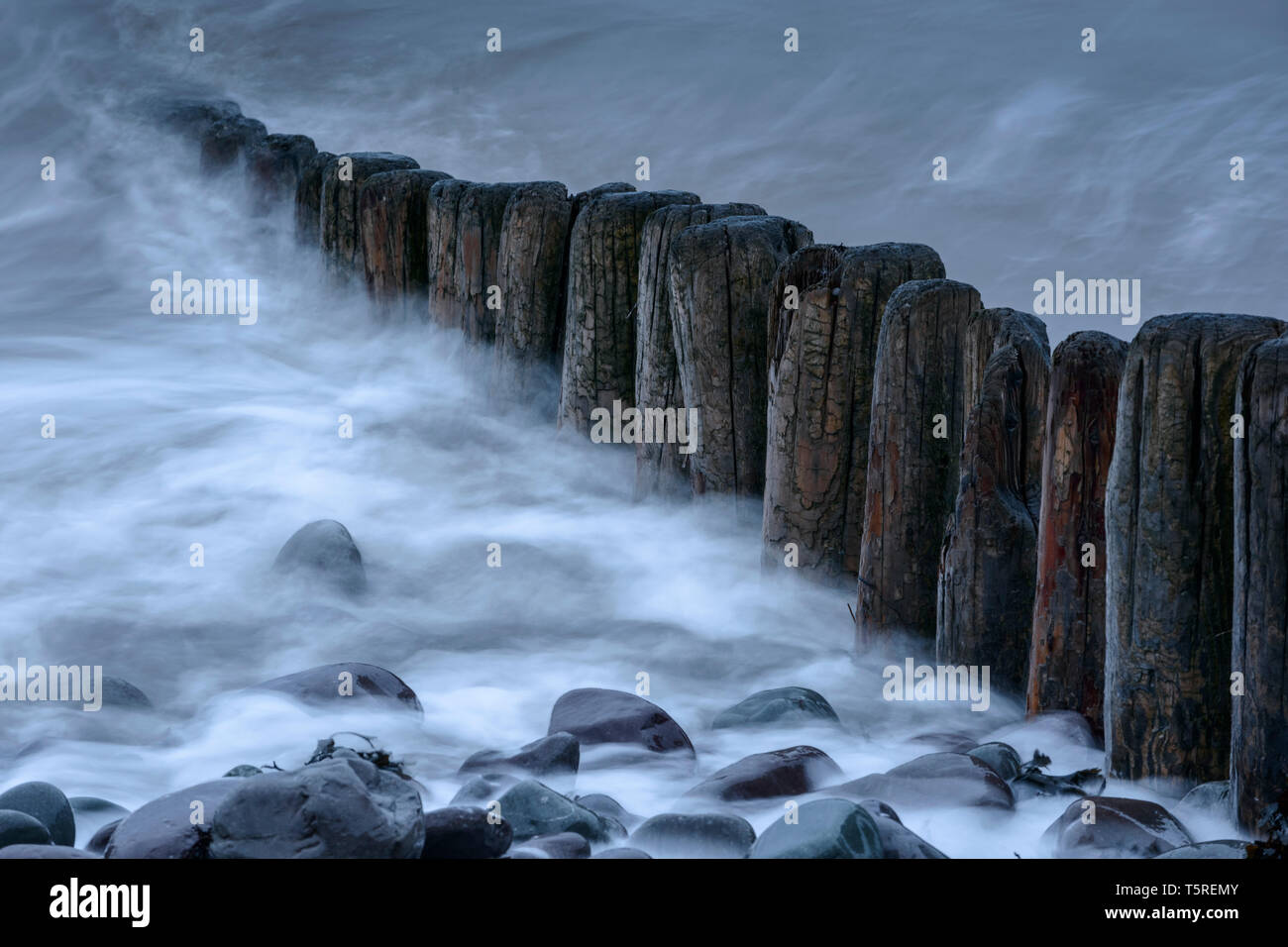 Una fila di pennelli in legno sulla spiaggia di Porlock, Somerset, come la marea entrante lambisce loro. Foto Stock