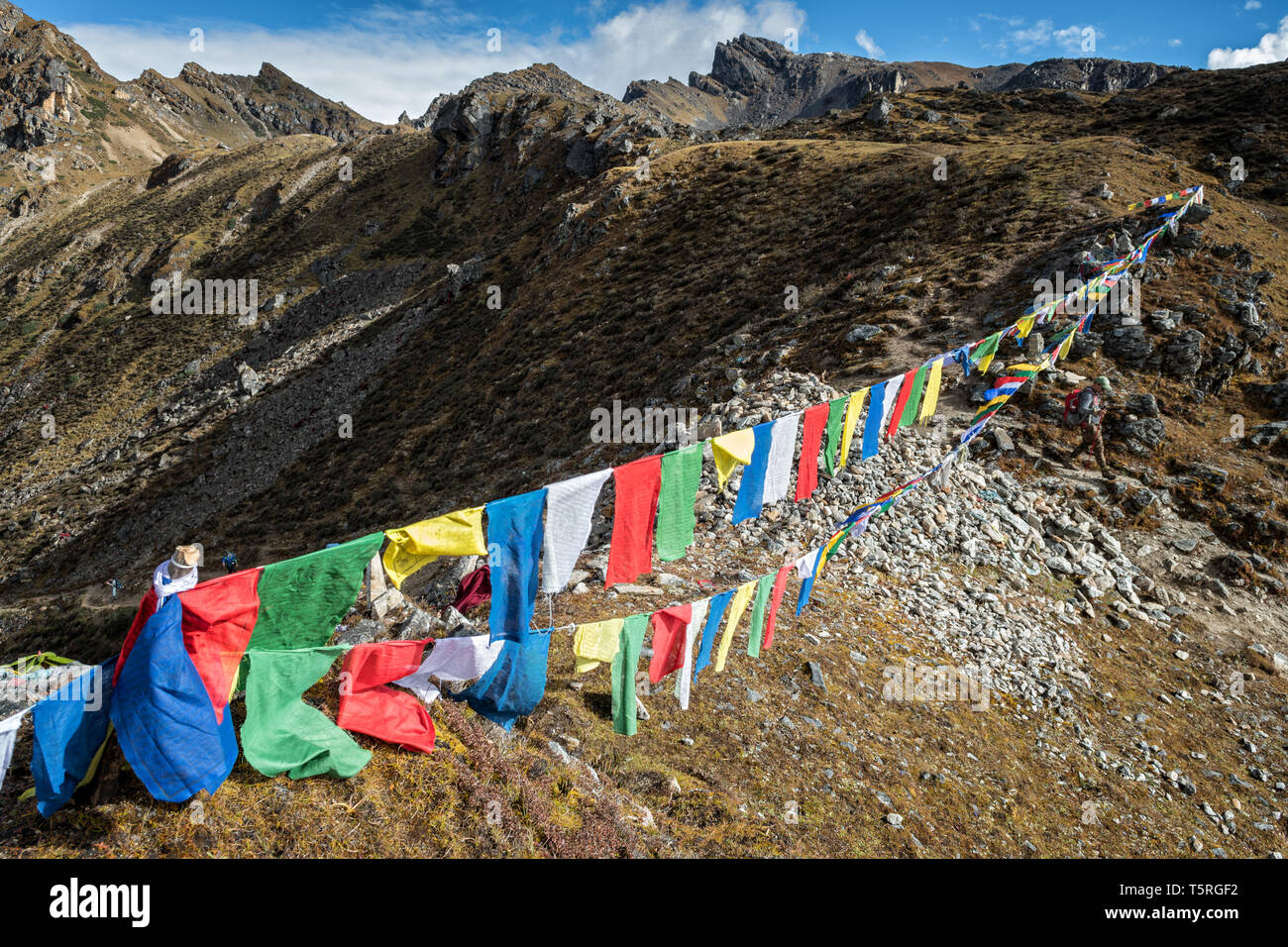 Bandiere di preghiera a Keche La pass, Gasa distretto, Snowman Trek, Bhutan Foto Stock