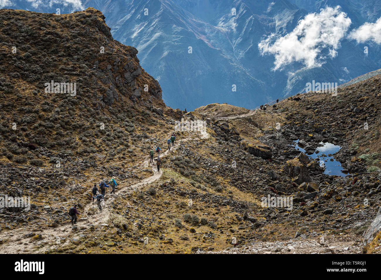Discesa dalla Keche La pass, Gasa distretto, Snowman Trek, Bhutan Foto Stock