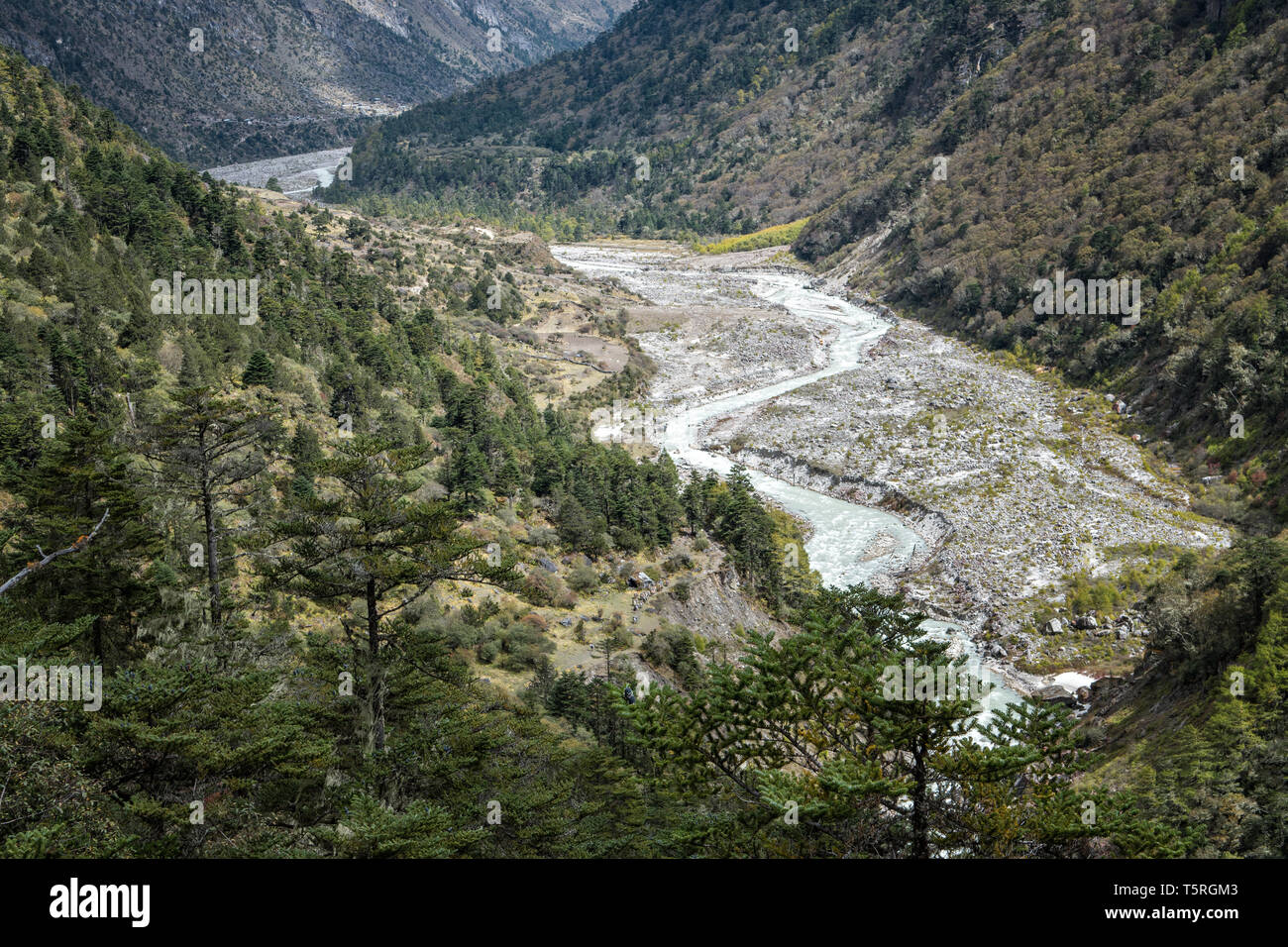 Fiume di fondo valle lungo il tragitto per Lhedi, Gasa distretto, Snowman Trek, Bhutan Foto Stock