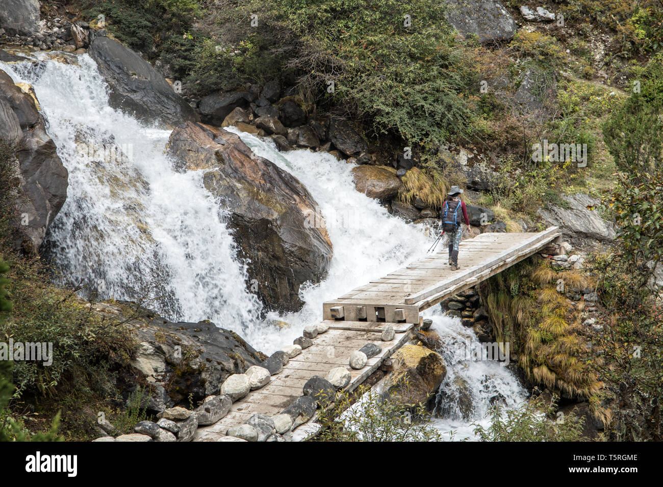 Il Cascades e ponte in rotta per Lhedi, Gasa distretto, Snowman Trek, Bhutan Foto Stock