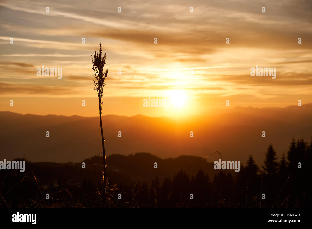 Die Sonne taucht den Horizont in ein Flammenmeer Foto Stock