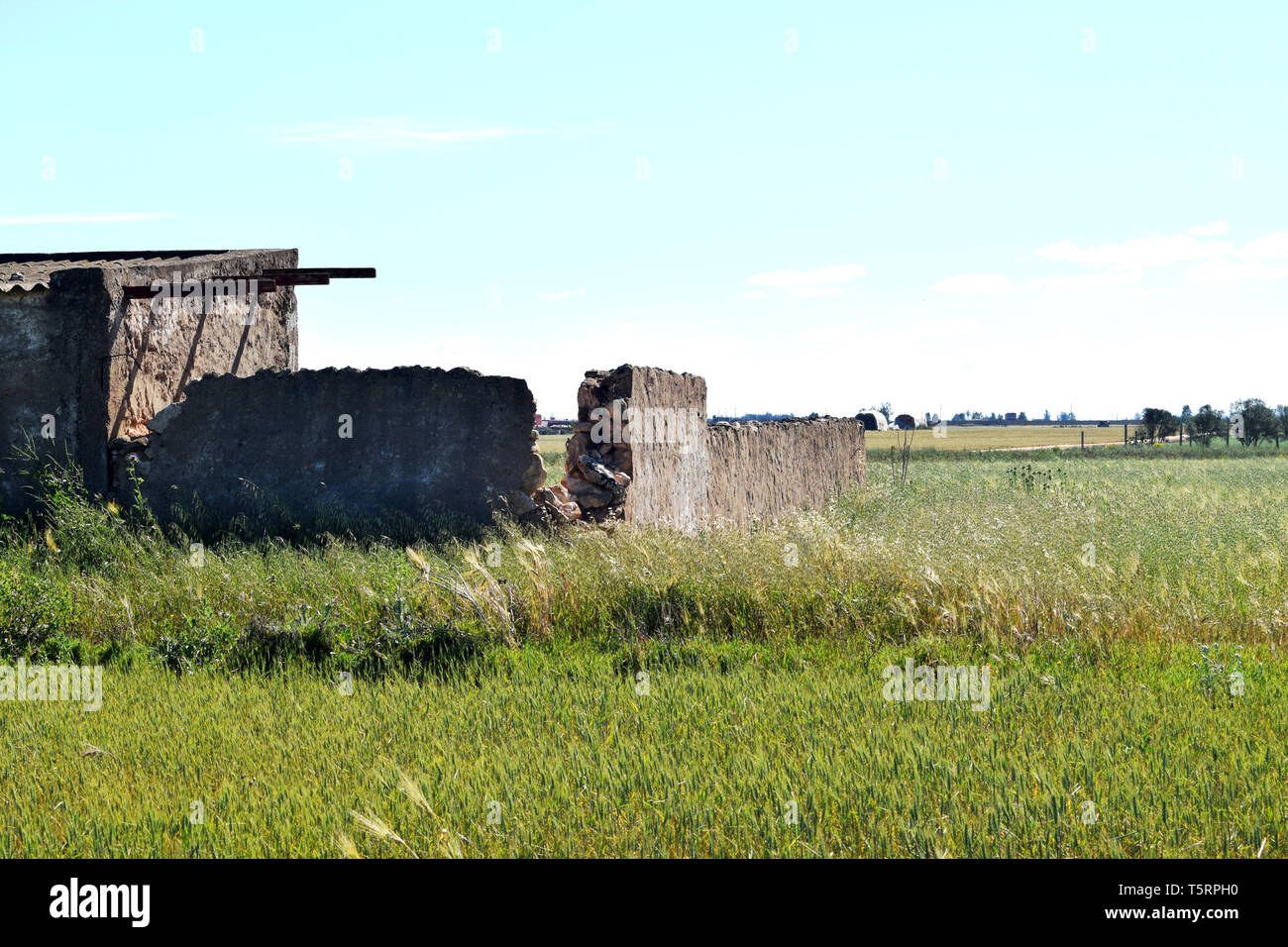 In rovina e abbandonata una casa di campagna costruita in pietra situato in un campo Foto Stock