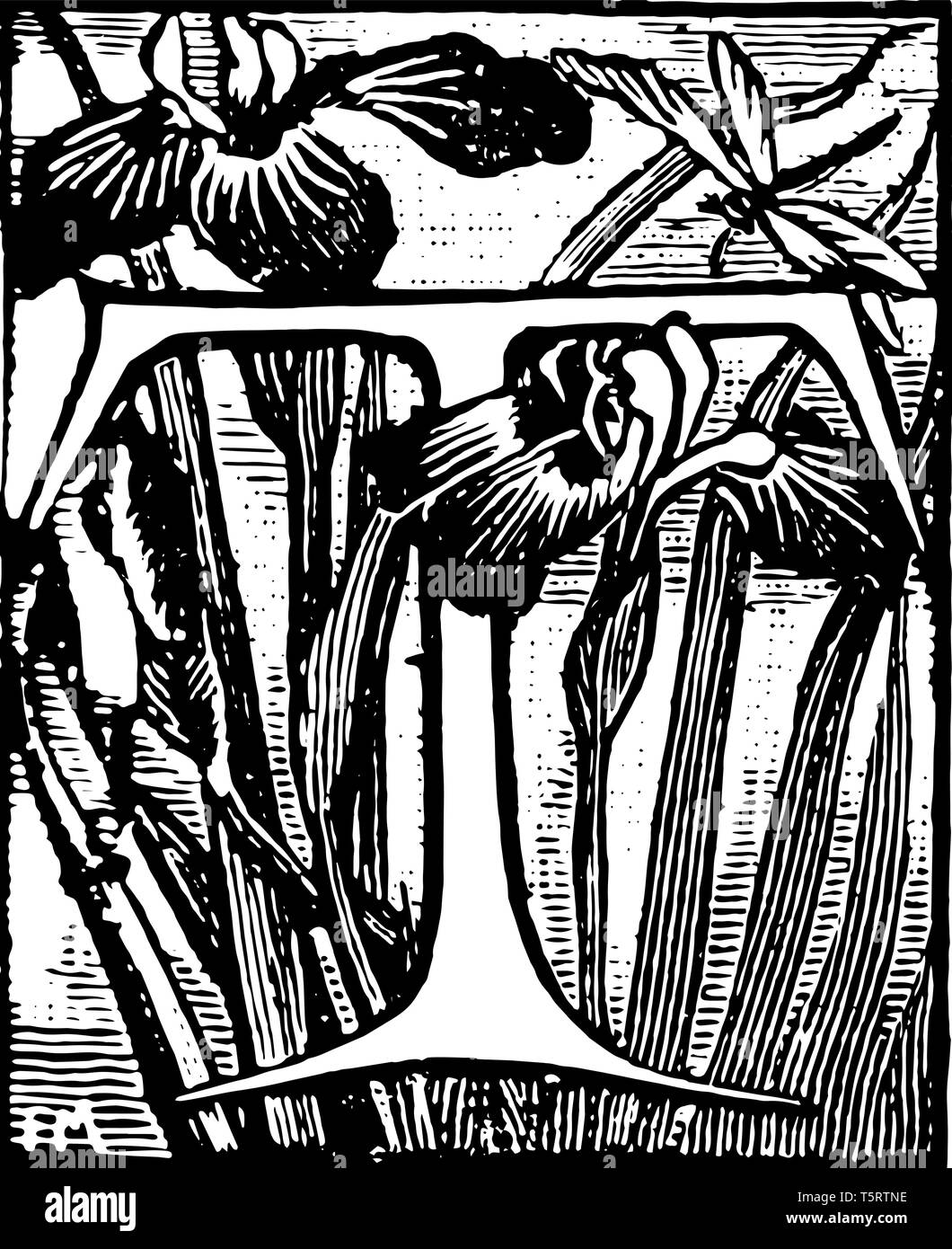 Una foto di una decorativa lettera T con due hibiscuses, vintage disegno della linea di incisione o illustrazione. Illustrazione Vettoriale