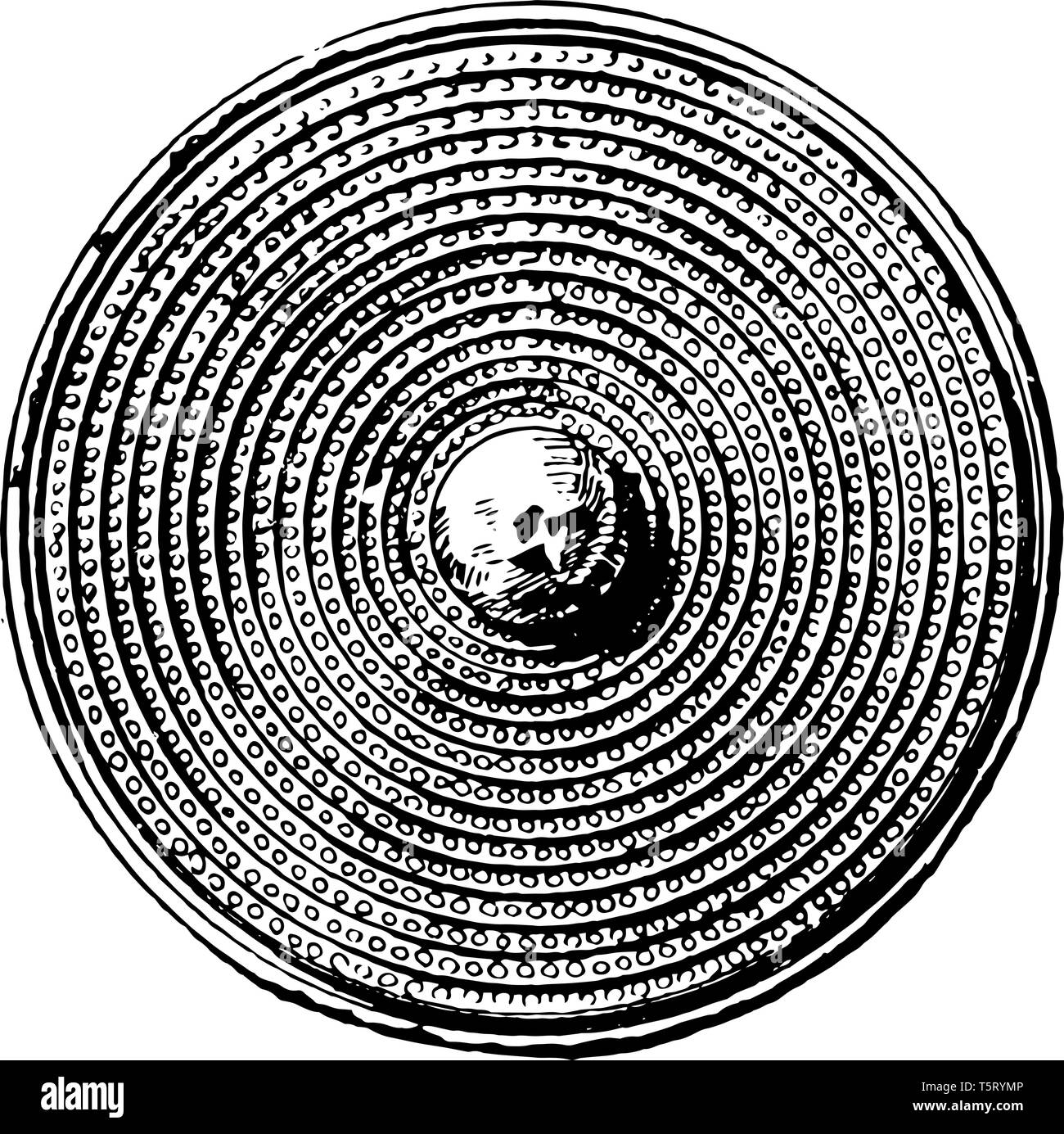 Scudo rotondo leggermente condannato con una protezione nel centro, vintage disegno della linea di incisione o illustrazione. Illustrazione Vettoriale