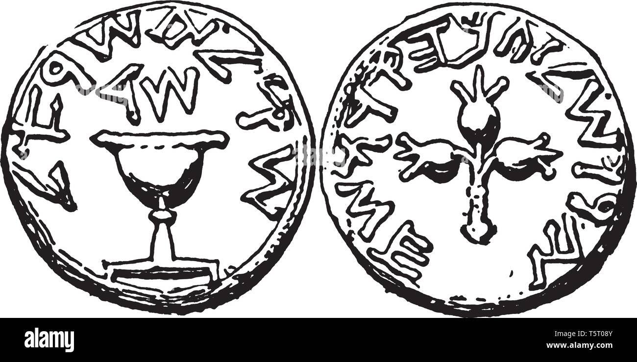 Siclo è la valuta di Israele ed è usato anche come un corso legale nei territori palestinesi della Cisgiordania e della Striscia di Gaza, vintage linea d Illustrazione Vettoriale