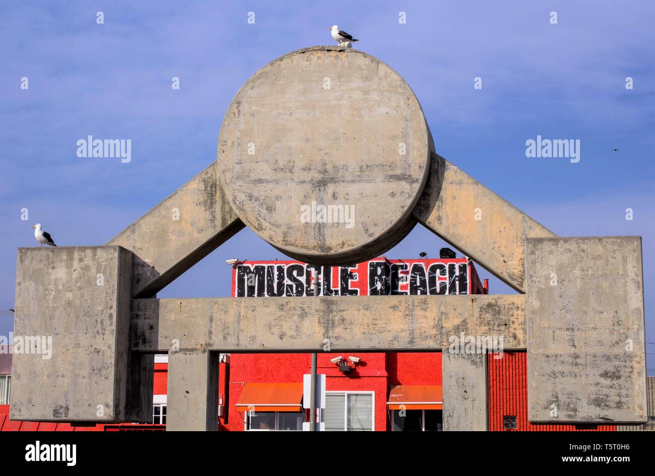 Vista anteriore del muscolo Venezia Spiaggia calcestruzzo barbell, California Foto Stock