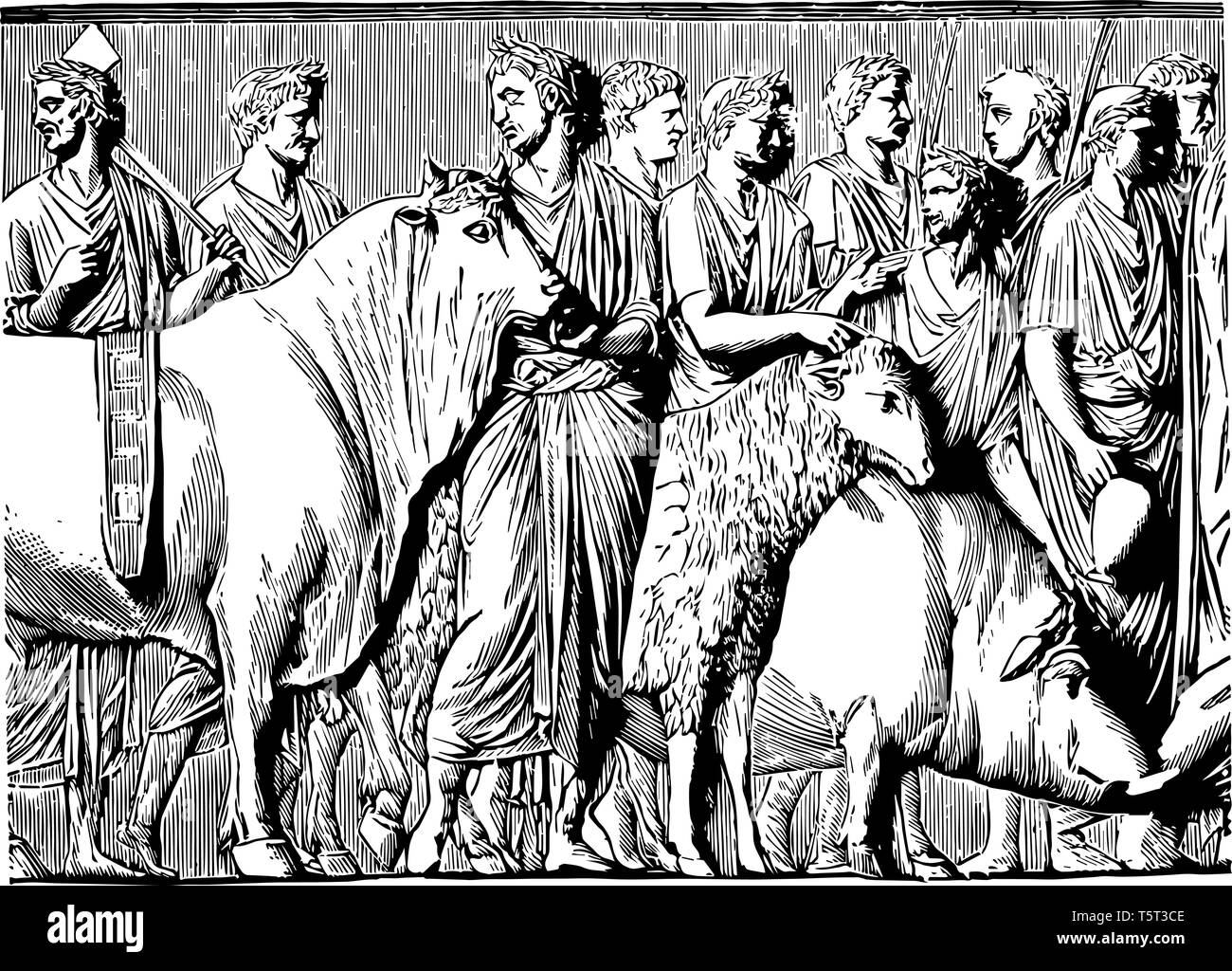 Questa è la vista del Suovetaurilia. Il suovetaurilia era un sacro romano il sacrificio di un maiale, di una ram e una bolla per Marte, il dio della guerra per purificare th Illustrazione Vettoriale