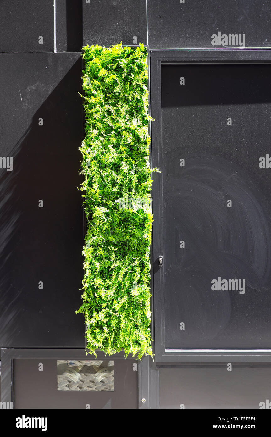 Artificiale pianta verde sulla facciata di un edificio moderno hotel in Porto, Oporto, Portogallo KATHY DEWITT Foto Stock