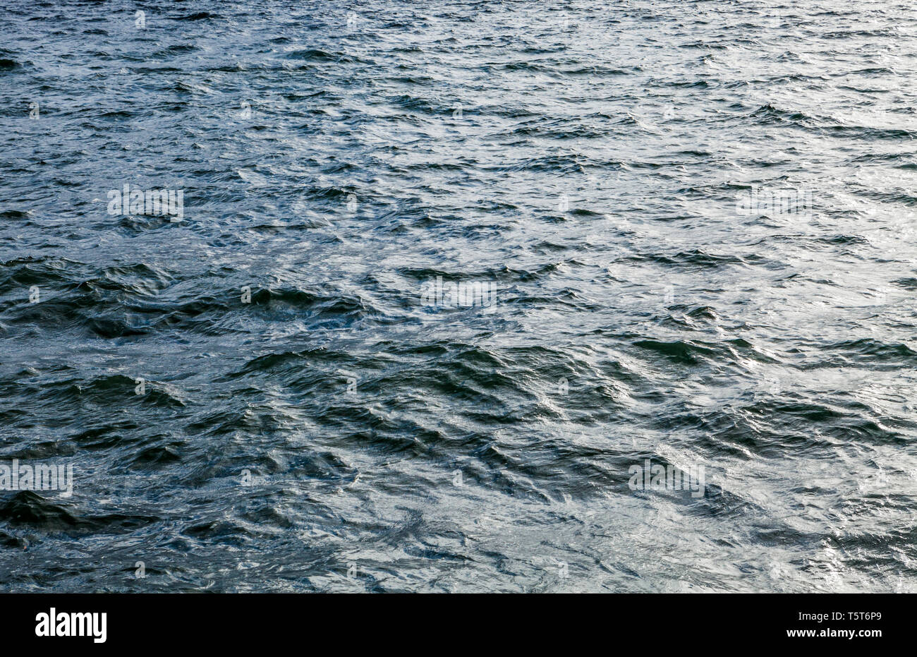 Acqua turbolenta sul Puget Sound, Washington, Stati Uniti d'America. Foto Stock